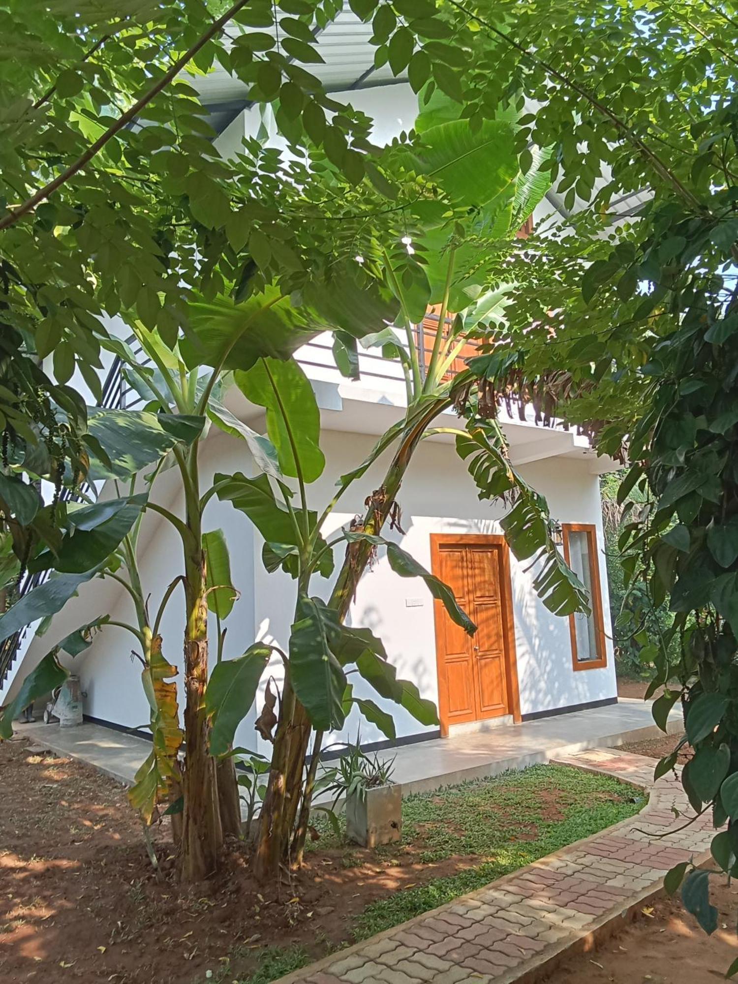 Green View Safari Resort اوداوالاوي المظهر الخارجي الصورة